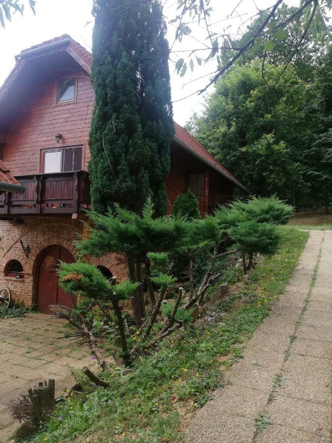 Mohas Vendeghaz Koszeg Mohas Ut 107 Hotel Exterior photo